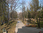 A park